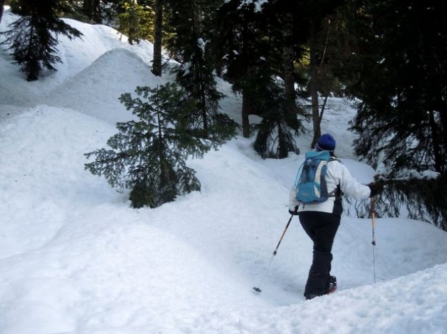 Rutas en raquetas de nieve